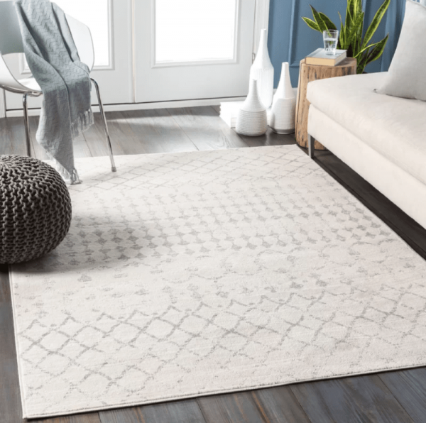 Neutral Area Rugs: The 25 Best Options For Your Living Room ️